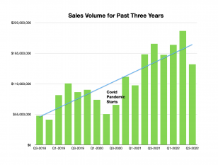 Mercado Inmobiliario de Puerto Vallarta cae 30% en el Tercer Trimestre 2022